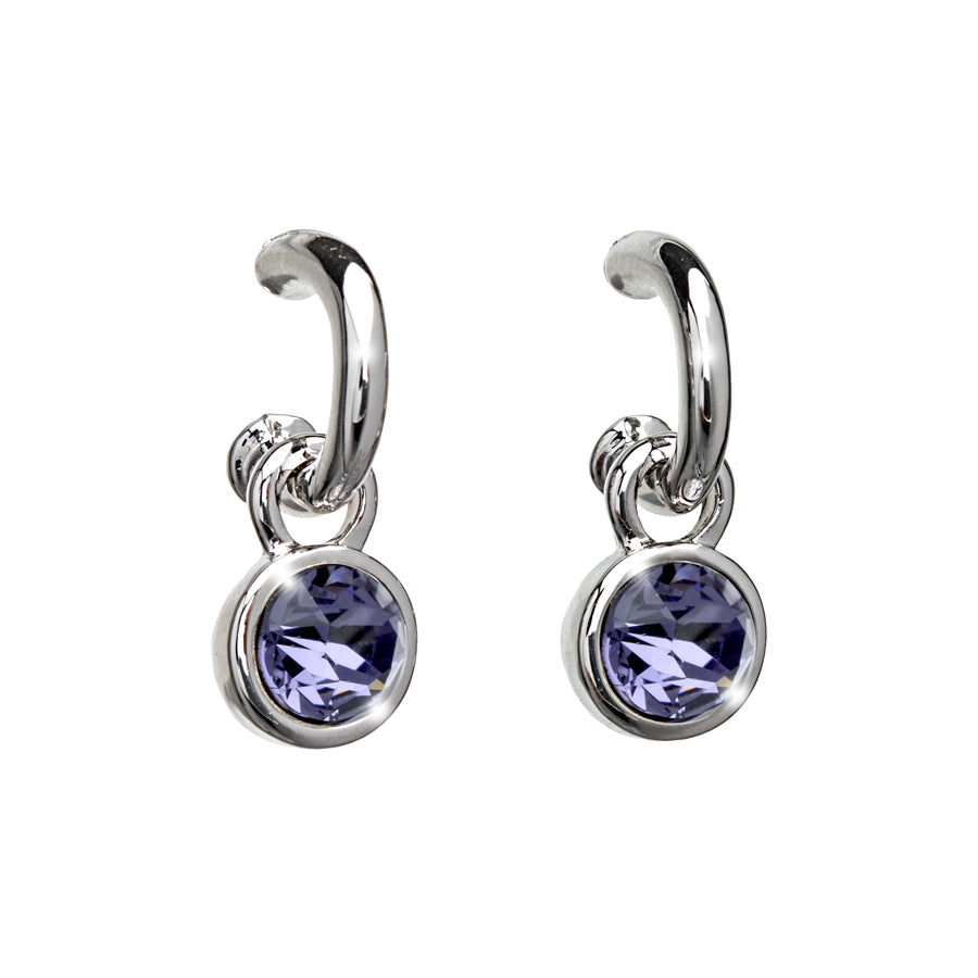 Purple Crystal Two in One Earring: Removable Charm & Hoop
